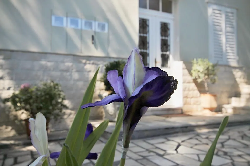 Villa Martinis Split